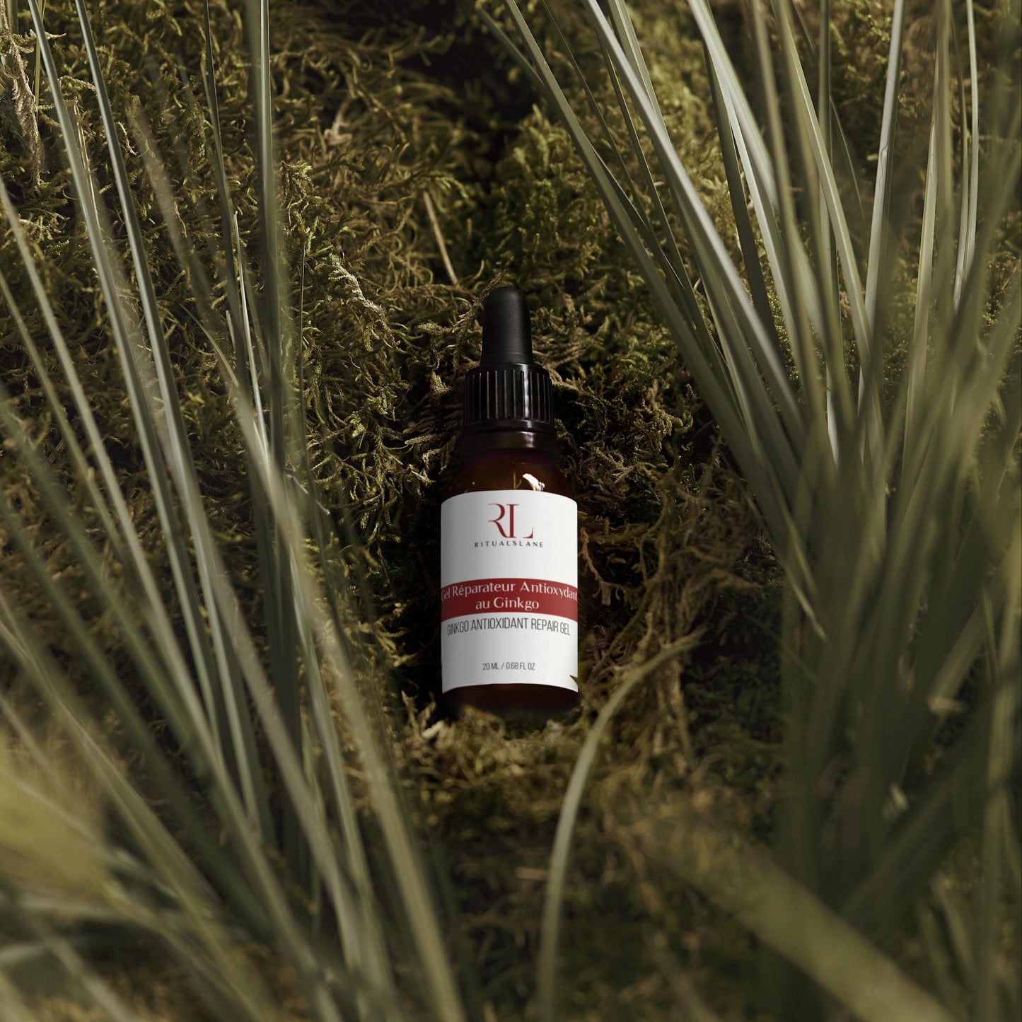 Ginkgo Antioxidant Repair Gel