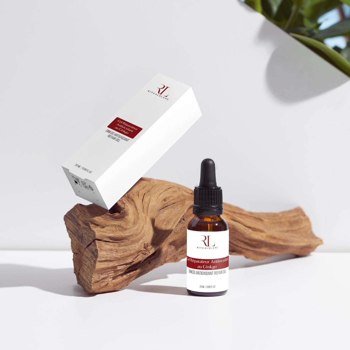 Ginkgo Antioxidant Repair Gel